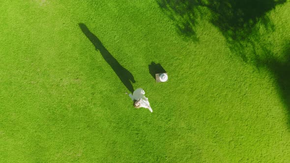 Happy Young Cheerful Girl Spinning Around Outdoors on Green Lawn Overhead View alt