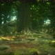 Tree Roots and Sunshine in a Green Forest - VideoHive Item for Sale