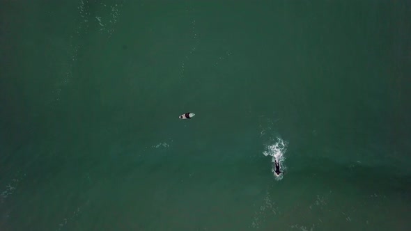 Pull away-shot of a surfer catching wave and leaving the frame. Birds-eye-view drone-shot. alt