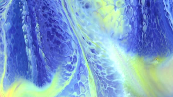 Colorful Liquid Ink Colors Blending Burst Swirl Fluid 37