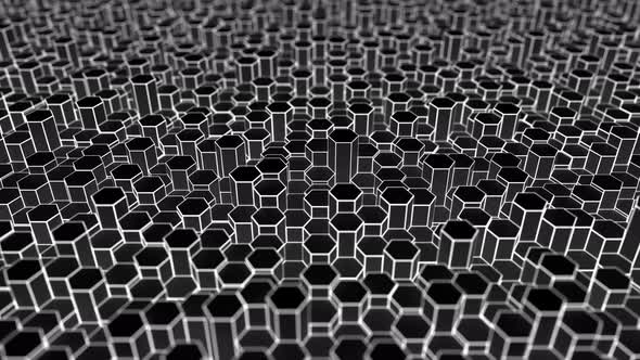 Black and White Hexagonal Shapes alt