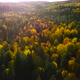 Above the Forest at Fall, Lithuania, Europe - VideoHive Item for Sale