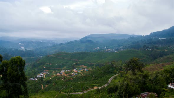 Mountains Tea Plantations Landscape Haputale, Sri Lanka  alt