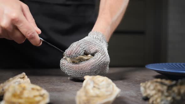 Chef Opens Oyster with Special Short Knife in Brightly Lit Kitchen of Luxury Restaurant alt