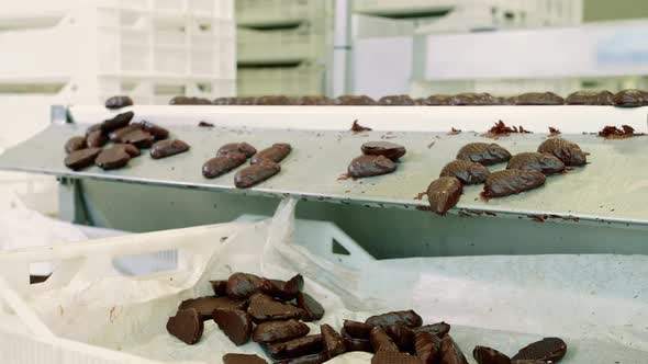 Candy Factory. Chocolate Candies Lying on Conveyor. alt