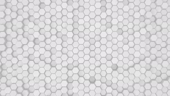 Abstract Hexagon Geometric Surface White
