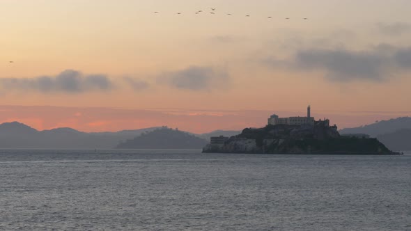 Birds fly over Alcatraz prison island at golden hour, panorama alt