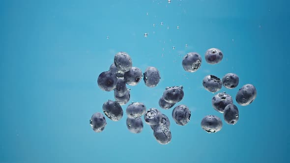 Blueberries Fall Floating in Water alt