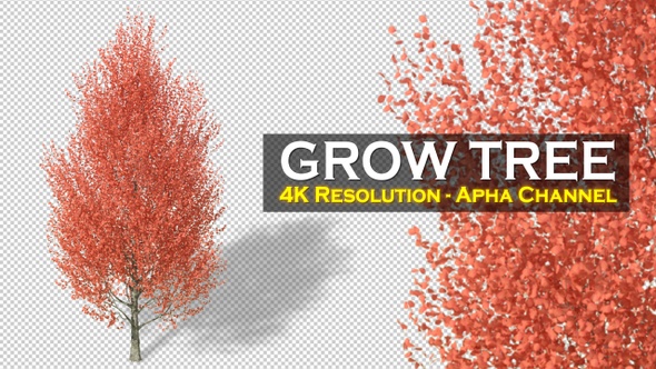 Growing Tree 4K alt
