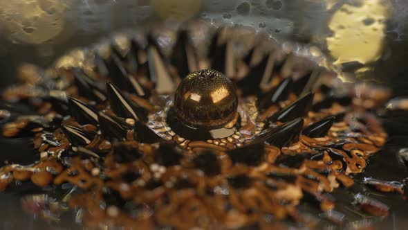 Ferrofluid. Beautiful Colors and Fantastic Shapes. Close-up