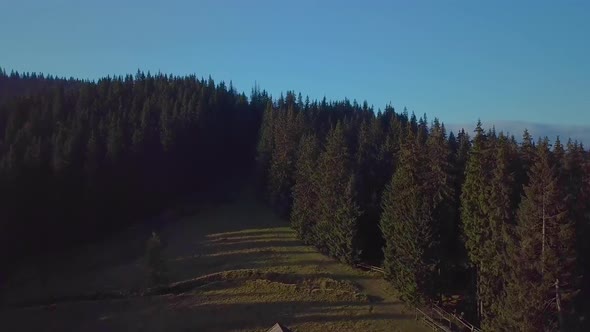 Flying Over Village of Shepherd and Forest in the Mountains alt