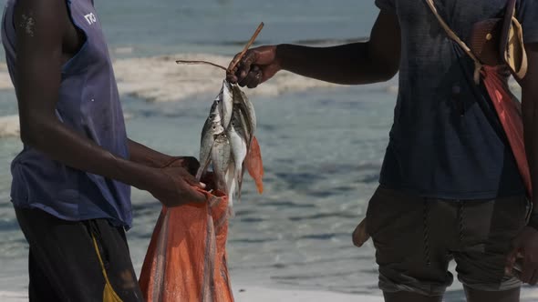 An African Fisherman with Bunch of Fish Sells Catch to a Local Man Zanzibar alt