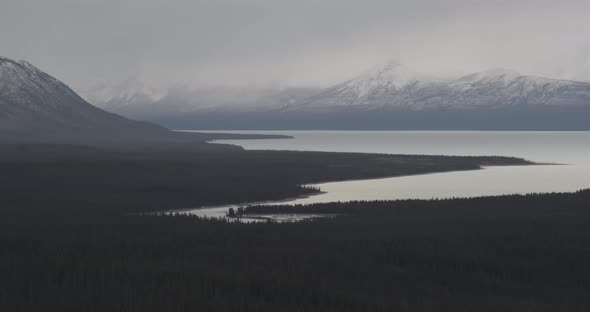 Aerial helicopter shot flying over houses on a hill, mountains in the distance, among dense brown tr alt
