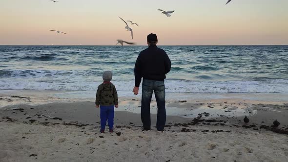 Two People an Elderly Man and Small Child Stand on Seashore and Feed Seagulls alt