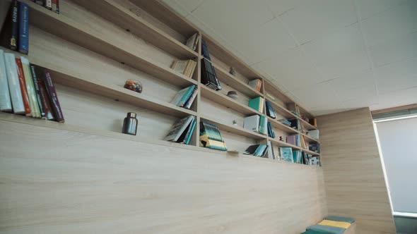 Library Shelves With Books