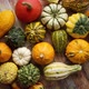 Decoration Made From Small Pumpkins - VideoHive Item for Sale