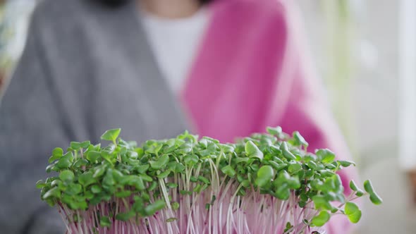 Person Holds Microgreens in Pot