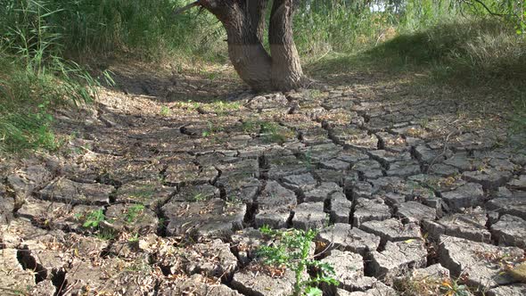 Drained  River  From Drought