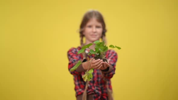Teenage Girl Stretching Green Plant to Camera at Yellow Background alt