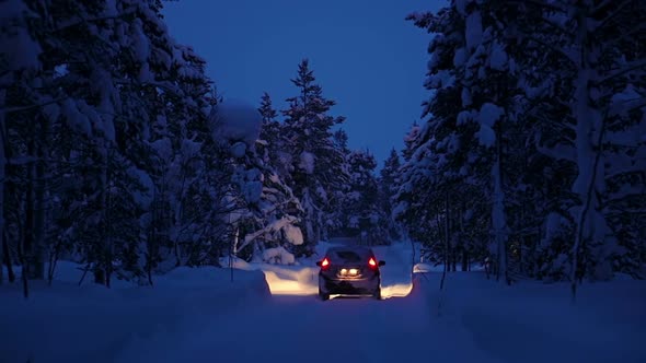 Car is Driving through the Night Winter Forest