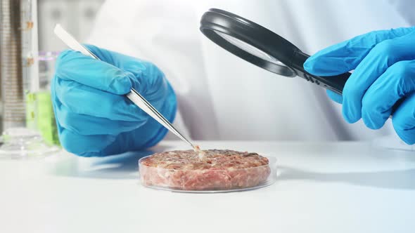 Medical Scientist Inspecting Minced Meat Wearing Protective Unform Working in Laboratory alt