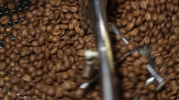 Roasting Coffee Beans alt