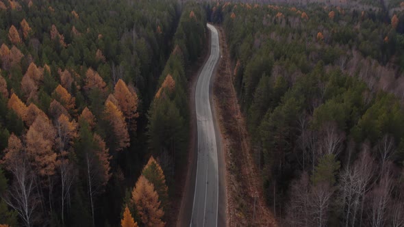 Road between autumn forest in Ural