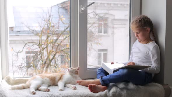 A European Child Sits on the Windowsill with His Cat and Looks at the Family Album alt