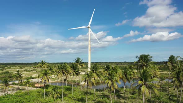 Brazilian landmark rainwater lakes and sand dunes. Jericoacoara Ceara. alt