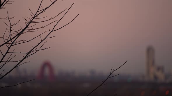 Panorama of the Evening City of Moscow