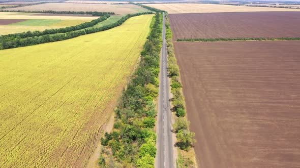 Aerial view. Highway among agricultural fields. Plowed fields and sunflower fields in autumn