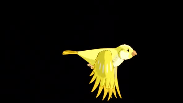 Flying yellow canary alpha matte HD