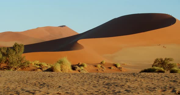 People are walking on a massive sand dune, tourism in Namib desert, 4k alt