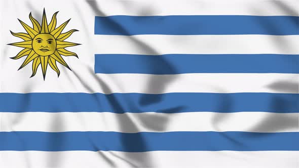 4K Uruguay Flag - Loopable