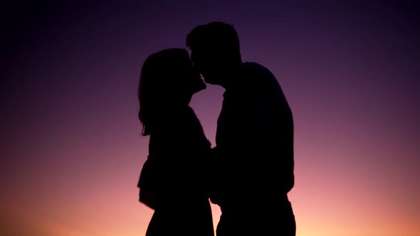 Silhouettes of a Married Couple Cuddles Against the Background of the Sunset Gradient alt