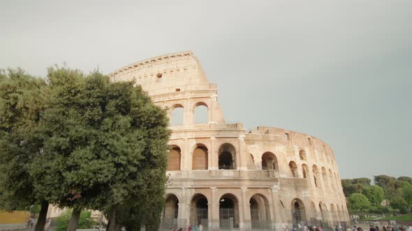 Lush Green Trees Grow Near Large Colosseum on Cloudy Day alt