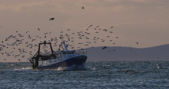 fishing boats coming back to the harbour at sunset, France alt