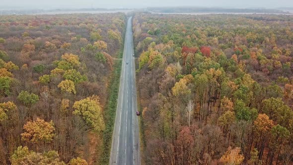 Road in beautiful autumn forest. Aerial above view of a rural landscape alt