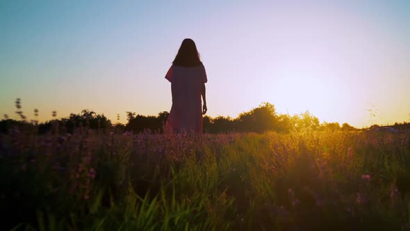 Rear Traveler Walks Along Bushes with Lavender alt