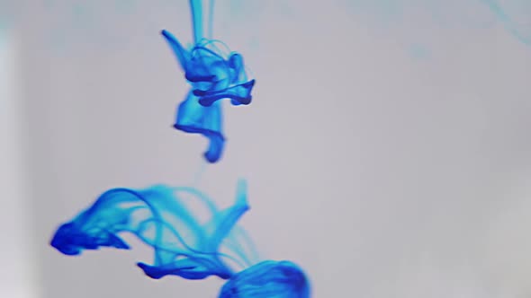 Cinematic Macro Paint Blue Whater Macro Video Shot of White Dye Paint Mixing in Water Liquids