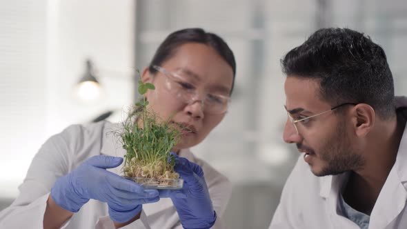 Technologists Inspecting Green Sprouts In Lab alt