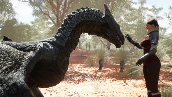 Dragon And Warrior Girl alt