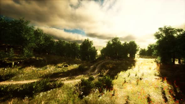 Heavy Rain Clouds Over the Field at the Sunset alt