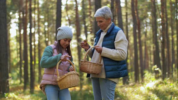 Grandmother and Granddaughter Picking Mushrooms alt