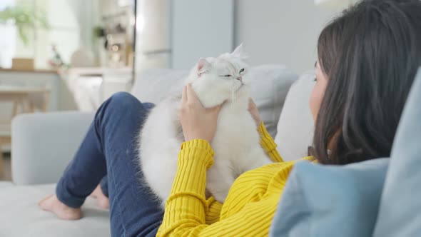 Asian woman holding and play with little cat with happiness at home. alt
