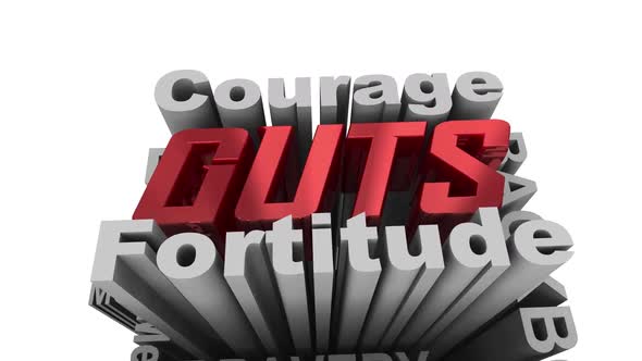Guts Courage Bravery Mettle Fearless Qualities Words 3d Animation alt