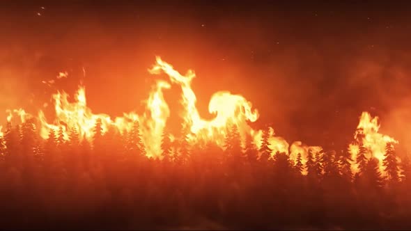A Huge Flame On The Background Of The Forest, Trees Are Burning VFX