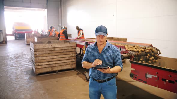 Potato Harvesting alt