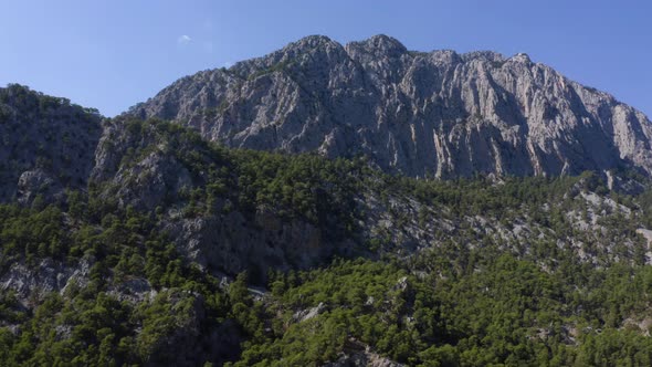 Grey Mountain Peaks and Green Forests alt