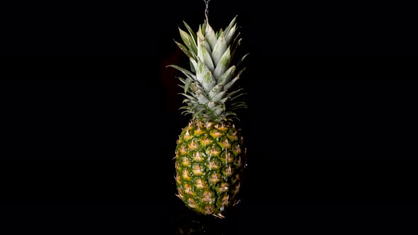 Temptatious Juicy Pineapple Dripping with Water - Fruit Concept with Black Background alt